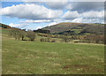 Pastures above the Monnow Valley