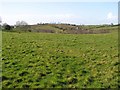 Skreen Townland