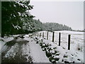 Track below Moyne Moor