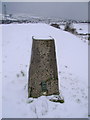 NS4655 : Neilstonside Hill trig point by Mark Nightingale