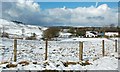 Cottages At Cullochknowes Again