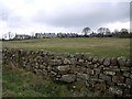 Stile over wall south of Ingoe