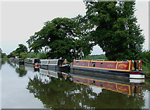 SJ9822 : Staffordshire and Worcestershire Canal, Tixall Wide, Staffordshire by Roger  Kidd
