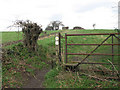 TG2216 : Field gate with integrated stile by Evelyn Simak
