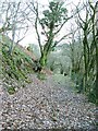 Footpath towards Wenallt