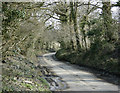 2009 : Lane to Cloford Common