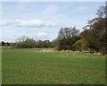 2009 : Looking north at Cloford