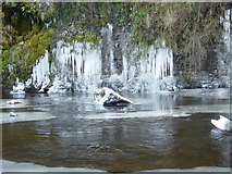 NZ0711 : River Greta SE of Brignall by Andy Waddington