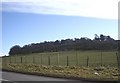 Scrubland on Hill of Keir