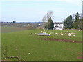 SO7025 : Sheep pasture off Conigree Lane by Jonathan Billinger