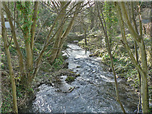 SS9767 : The Hoddnant flowing through woodland. by Mick Lobb