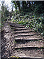 TQ8510 : Steps to Fairhurst Glen by Oast House Archive