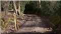 Robins Lane ascending Dunner Hill