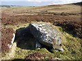 Bronze Age burial cist on Garleigh Moor