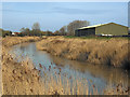 River Parrett in south Bridgwater