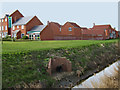 New houses and old rhyne, Bridgwater