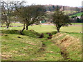 Footpath to Gisburn