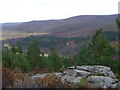 View south-east from Craig of Woodend