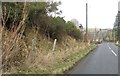 Houses at the side of the A708