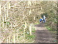 Footpath by Bents Brook