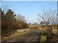 Bend in the road to Wylfa Head