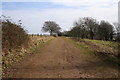 Lyncombe Lane