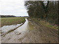 Field boundary alongside Waddenhall Wood