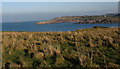 Rough grazing on cliff top near Trwyn y Penrhyn