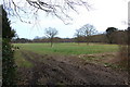 Playing fields near Claremont School