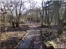 SP2096 : Echill's Wood Railway by Keith Williams
