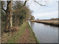 SJ5344 : Llangollen Canal by David Quinn