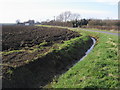 Ditch by Staughton Road