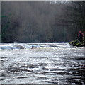 Mickley Weir