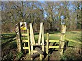 Stile to Abbott St copse