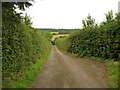 Mid Devon : Country Lane