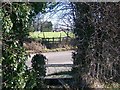 Footpath crosses Teston Road