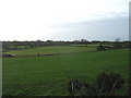 View across farmland in the direction of the hamlet of Pengraigwen