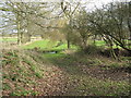 Landscaped footpath at Moon