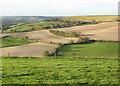 View NW from minor road near the top of Eggardon Hill