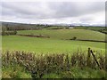 Backfarm Townland