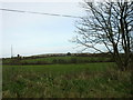 View across grazing land to houses on the Gadfa road