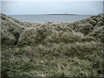 NU2803 : Dunes South of Amble by Chris Heaton