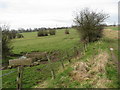 Footpath and Troughs near Shirland