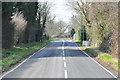 Looking east down Colchester Road