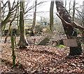 Ruined farm building