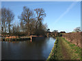 Late afternoon sun on the canal, Burland