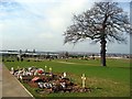 Forest Park Cemetery