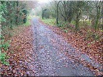 ST9536 : Restricted byway near Stony Hill by Maigheach-gheal