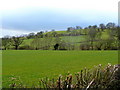 Pastoral slopes of Mynydd y Bryn