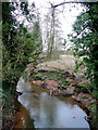 The Ell Brook by Cleeve Mill 3